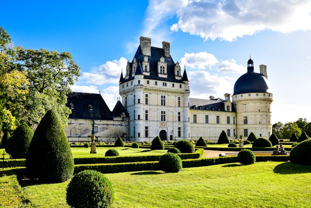 Découvrir la vallée de la Loire : châteaux et vignobles