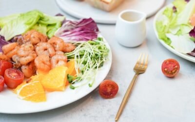 alimentation équilibrée