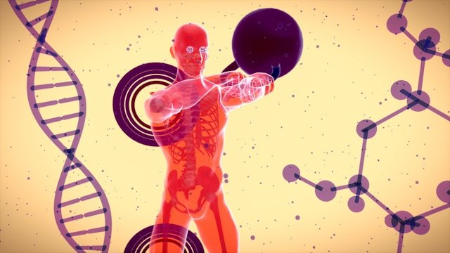système immunitaire