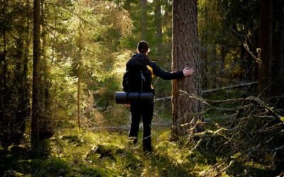 Autonomie et survie