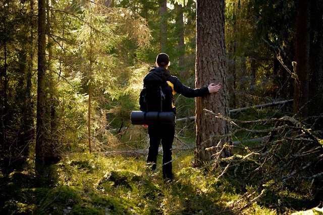 Autonomie et survie